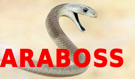 COBRA
